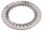 Serrated Washer 20mm Stainless Steel (304)